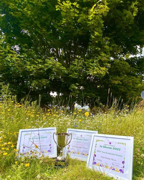 certificates and prize cup in grass