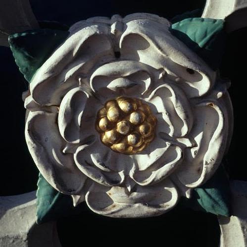 The white rose of the House of York