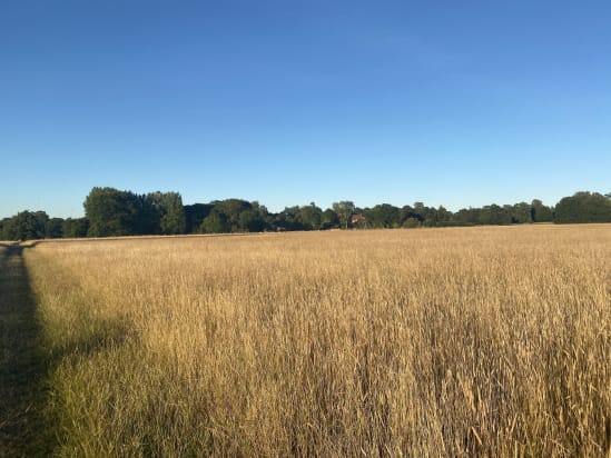 A view of a field and sky